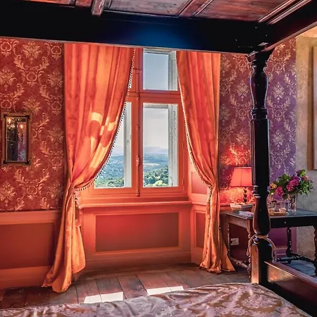 게스트하우스 Chateau De La Vigne 3*