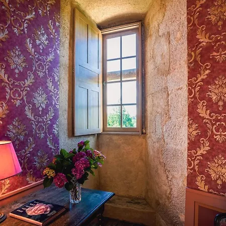 Chateau De La Vigne 게스트하우스 Ally (Cantal)