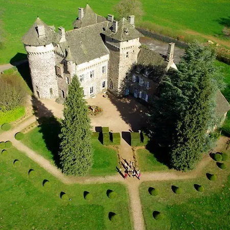 Chateau De La Vigne Ally (Cantal)
