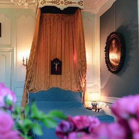 게스트하우스 Chateau De La Vigne Ally (Cantal)