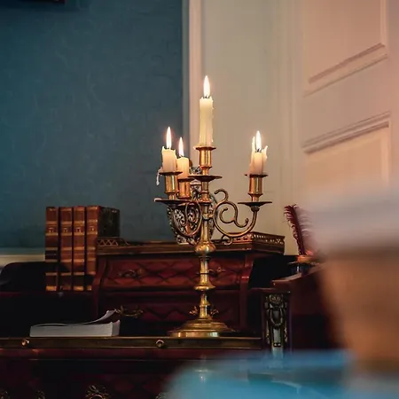 Chateau De La Vigne 게스트하우스 Ally (Cantal)