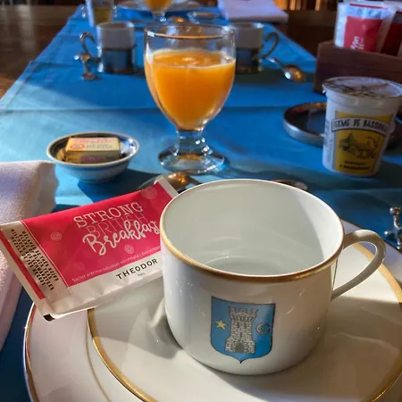 Chateau De La Vigne Ally (Cantal)