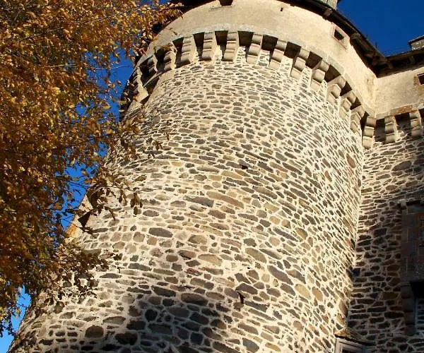 Гостевой дом Chateau De La Vigne Алли