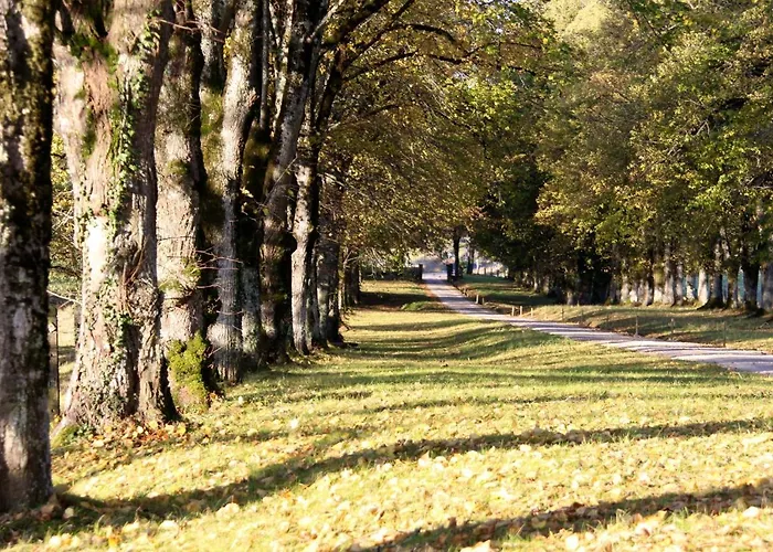 Chateau De La Vigne Guest house