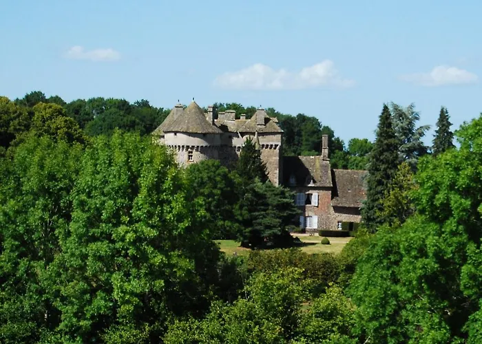 Guest house Chateau De La Vigne 3*