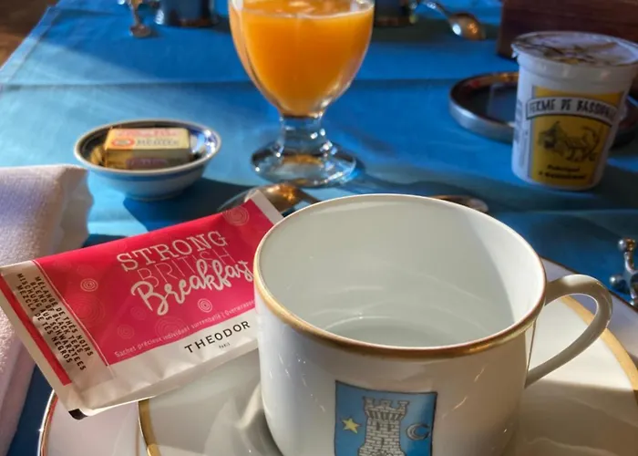 Chateau De La Vigne Ally (Cantal)