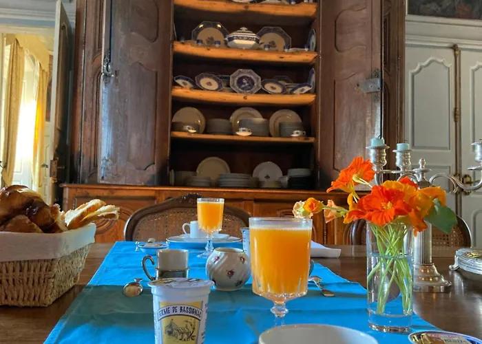 Chateau De La Vigne Guest house Ally (Cantal)