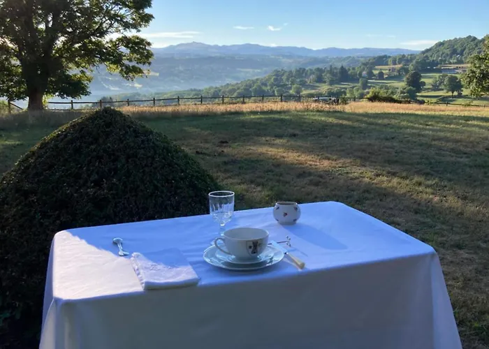 Гостевой дом Chateau De La Vigne Алли